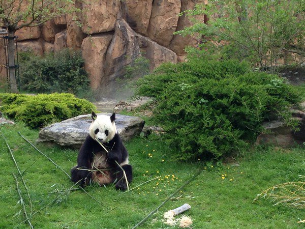 Zoo de Beauval