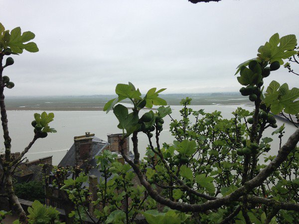 Mont saint Michel