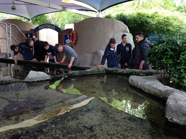 Aquarium de St Malo