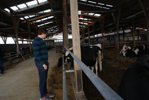 Exploitation vaches laitières et allaitantes